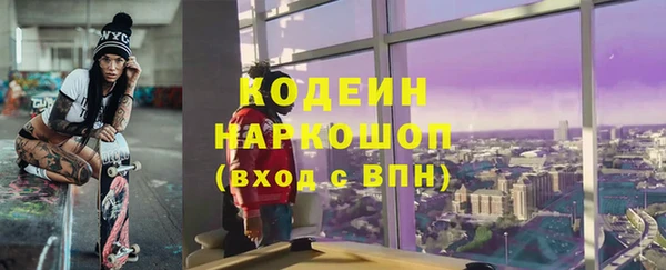 индика Семилуки