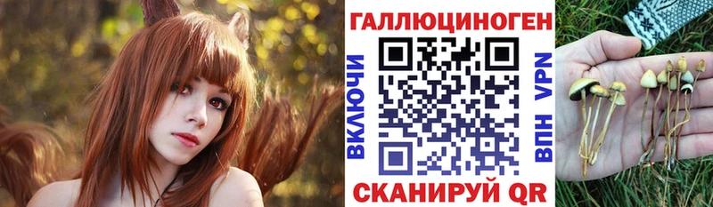 Псилоцибиновые грибы мухоморы Андреаполь