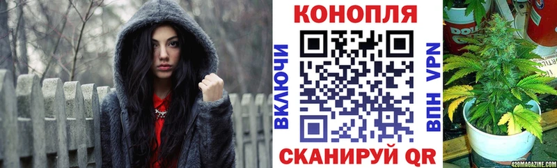 нарко площадка официальный сайт  Андреаполь  МАРИХУАНА гибрид 